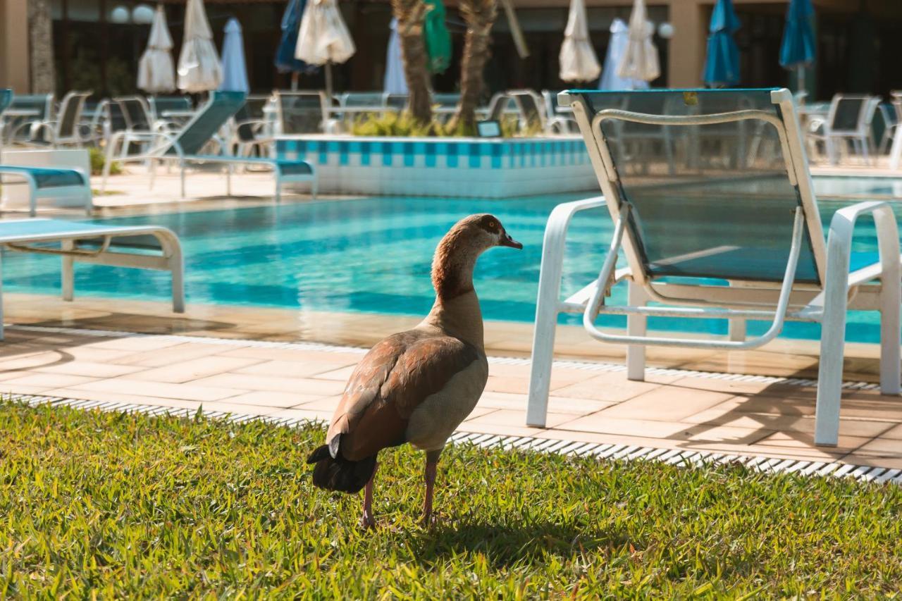 Villa Itaipava Resort & Conventions 외부 사진
